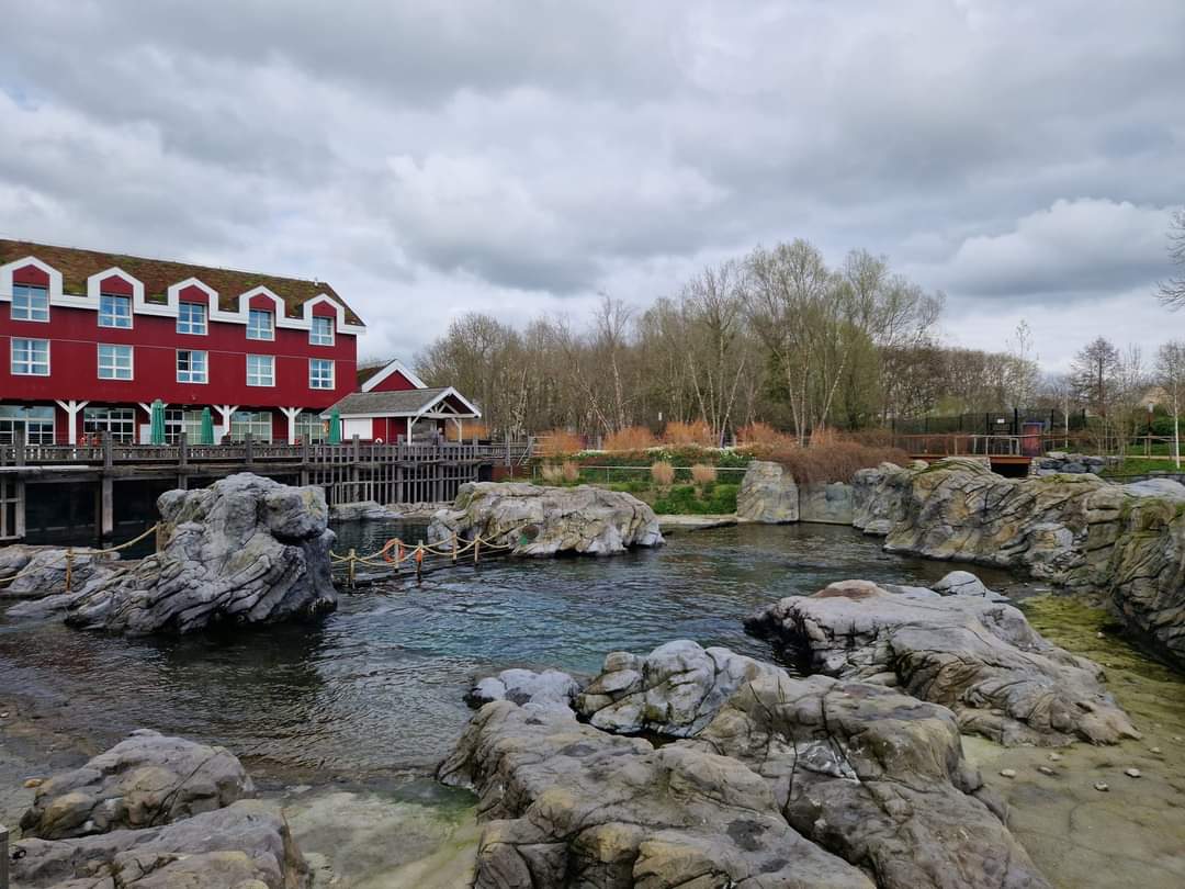 Steller Sea Lion exhibit