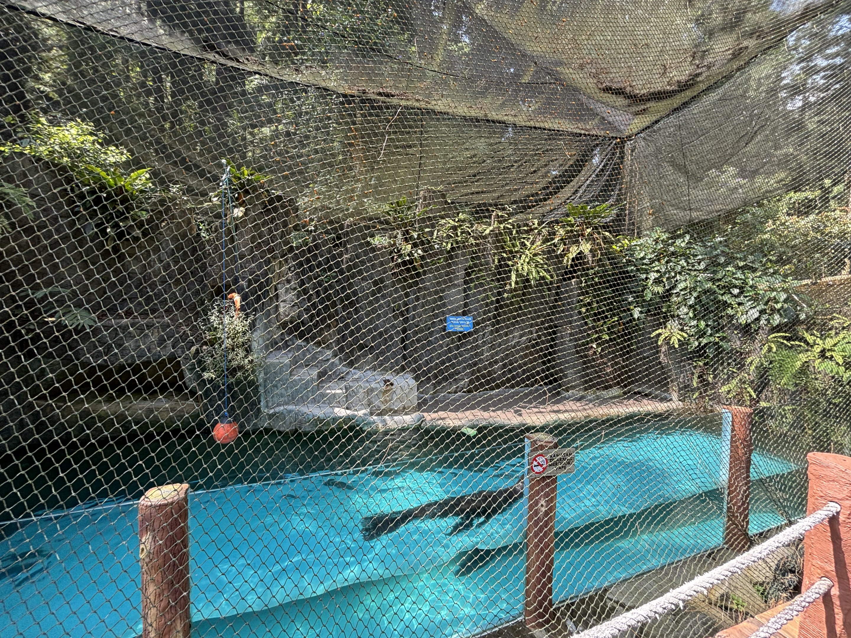 Steller Sea Lion Exhibit