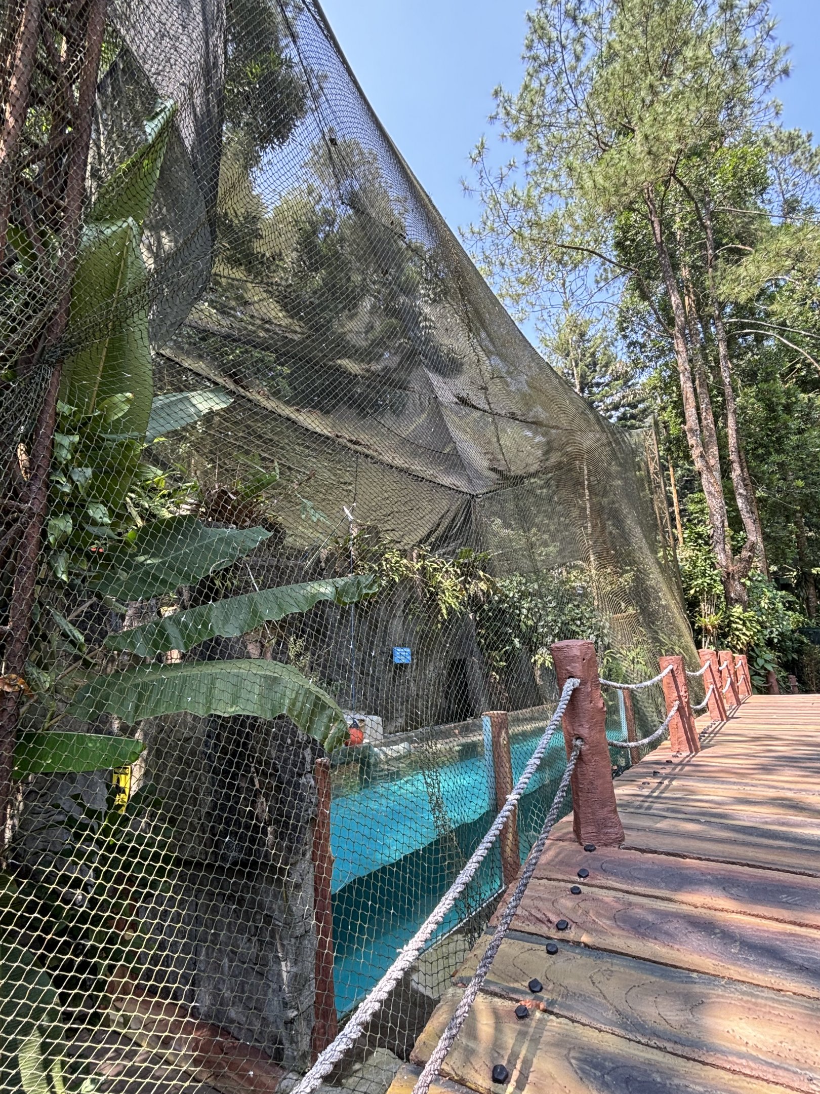 Steller Sea Lion Exhibit