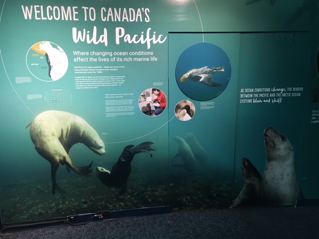 Steller Sea Lion Sign (10-Feet High) - New in 2017