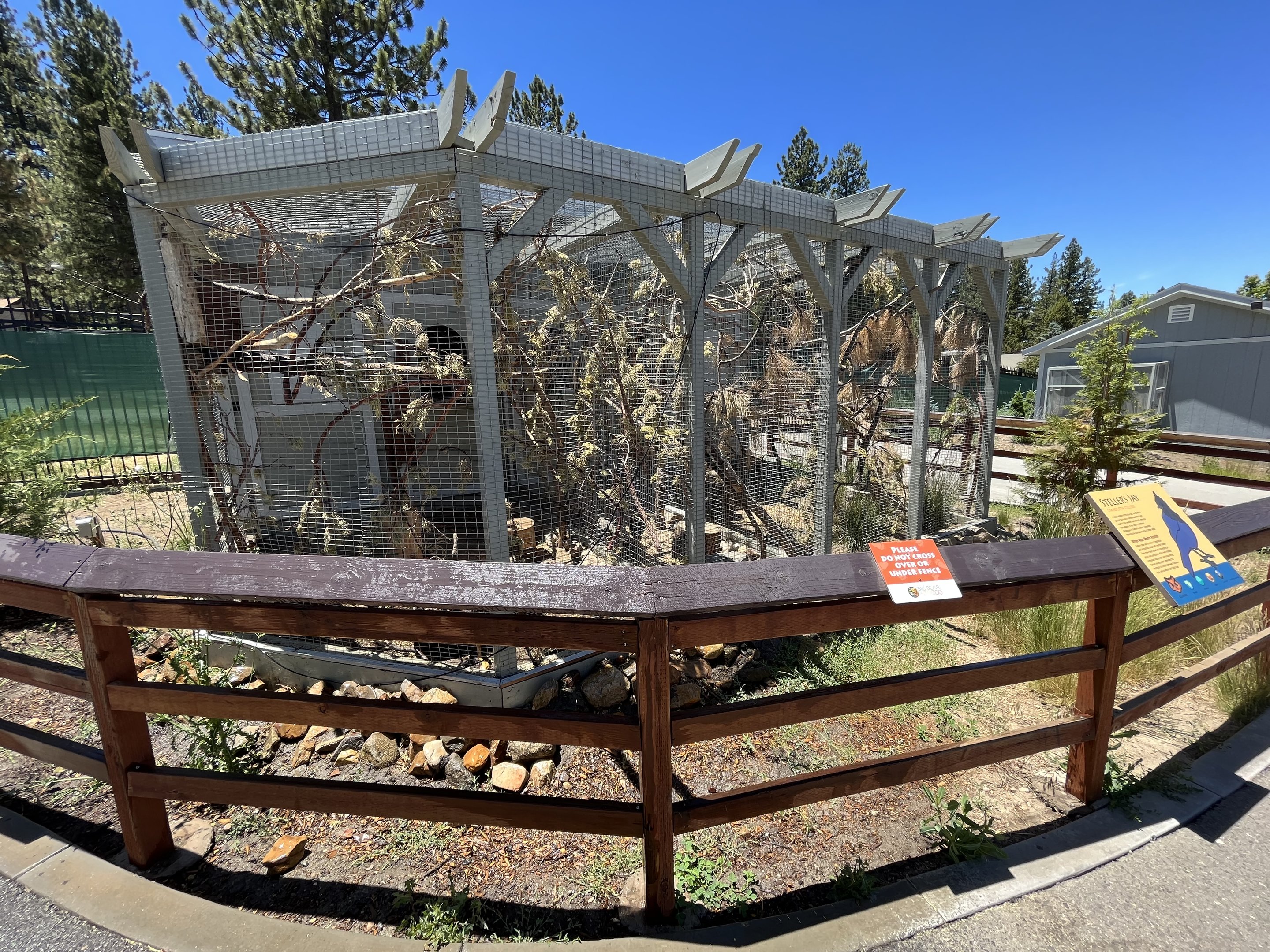 Steller’s Jay + Kestrel Aviaries