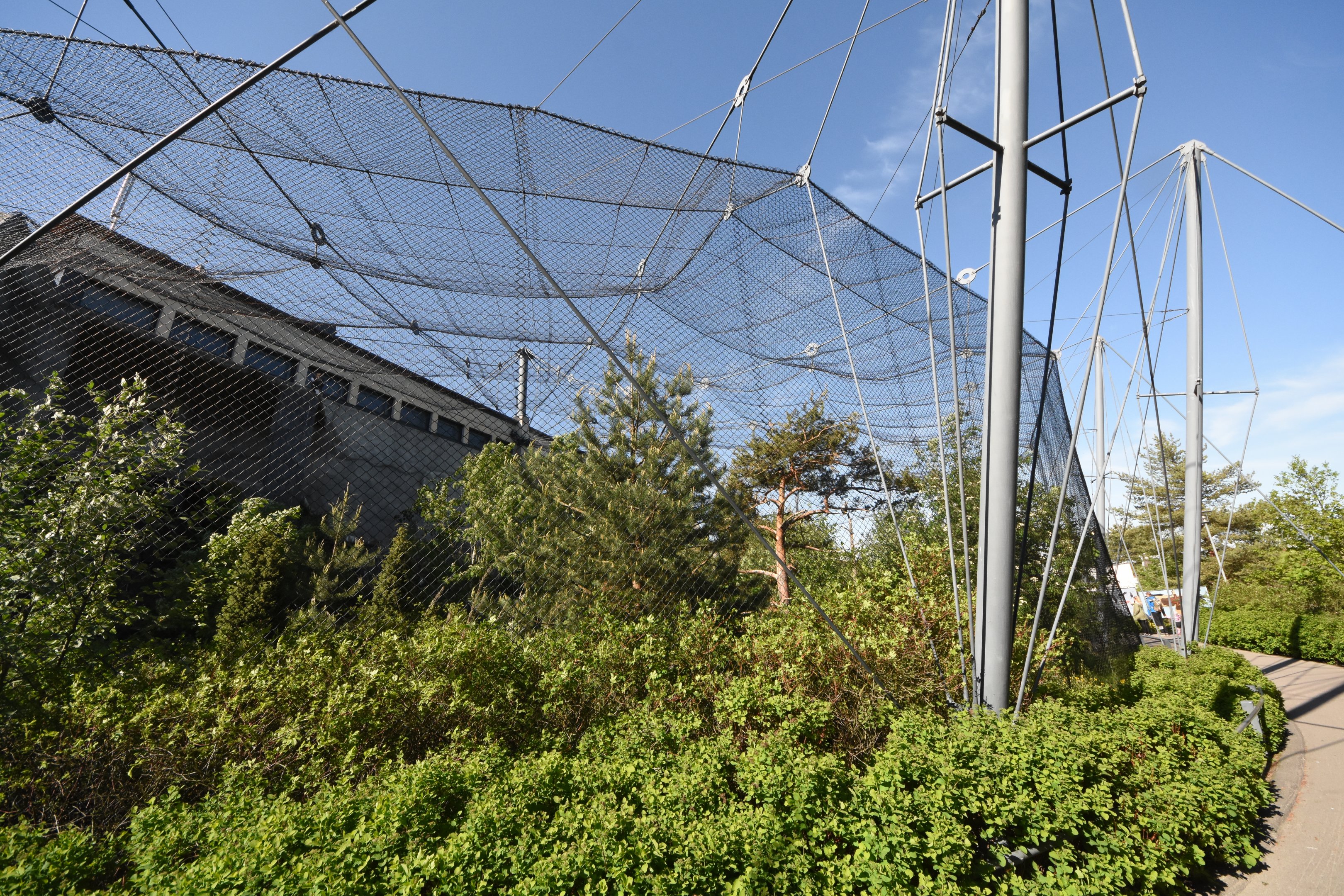 Steller's sea eagle and Common raven aviary