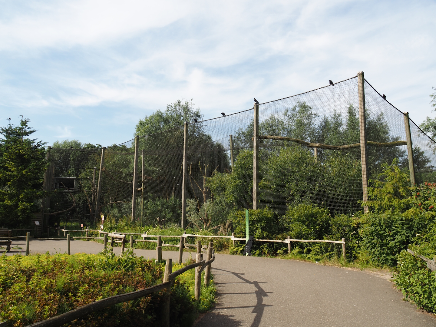 Steller's sea eagle aviary, 2024-06-30