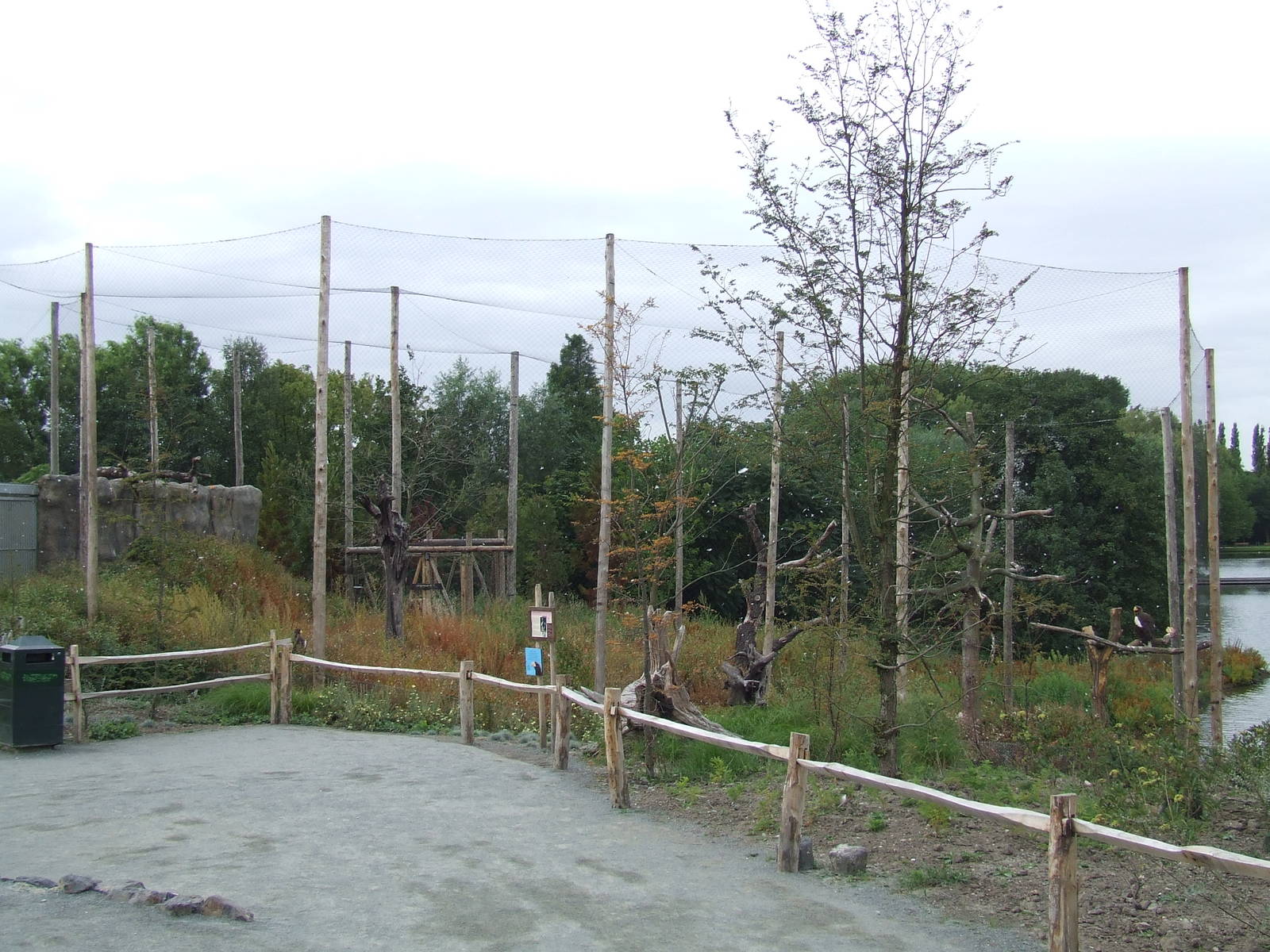 Steller's Sea Eagle aviary, Arctica