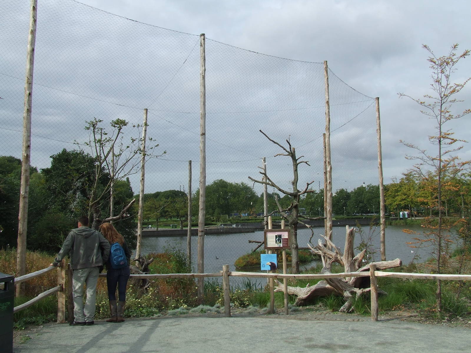 Steller's Sea Eagle aviary, Arctica