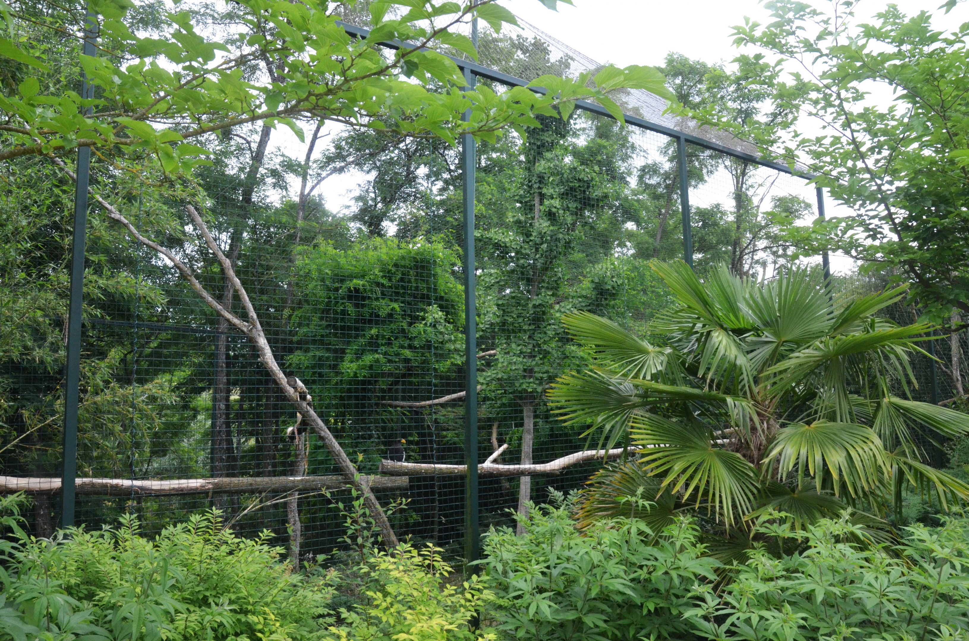 Steller's Sea Eagle Aviary at Beauval, 12/06/18