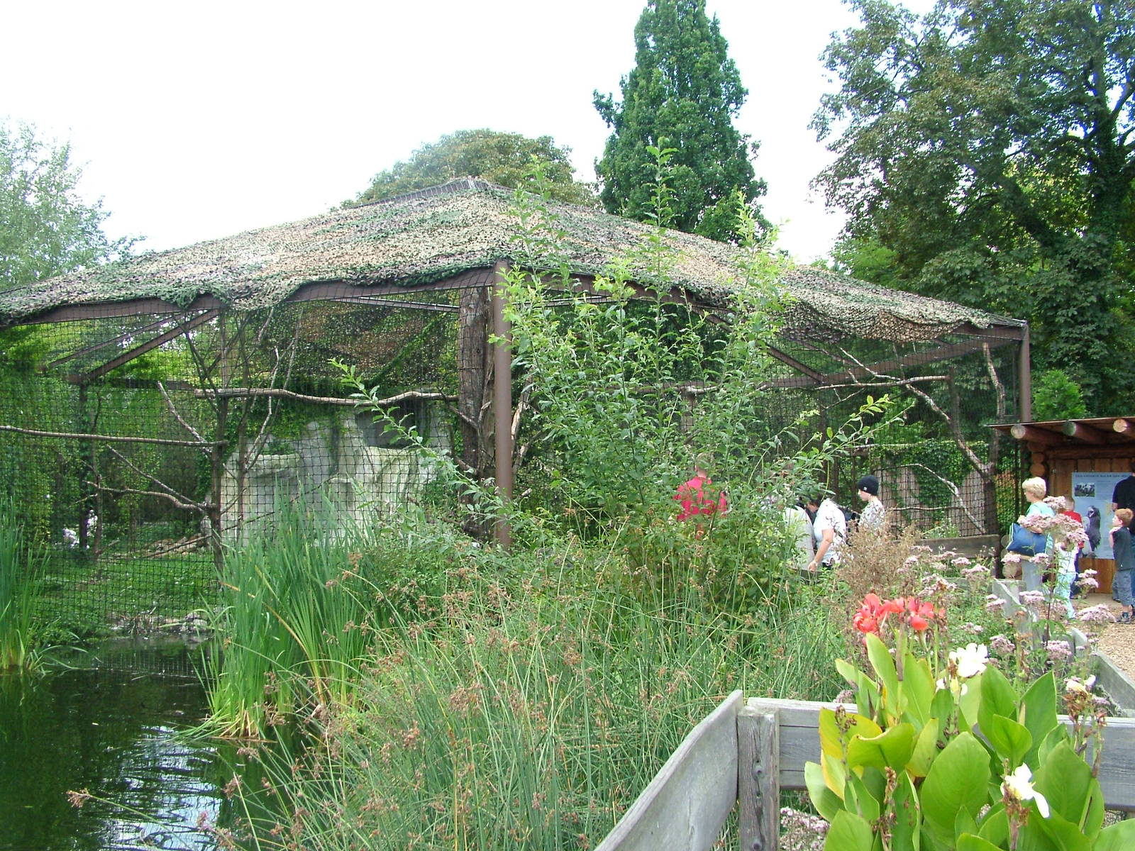 Steller's Sea Eagle Aviary at Heidelberg, 05/09/10