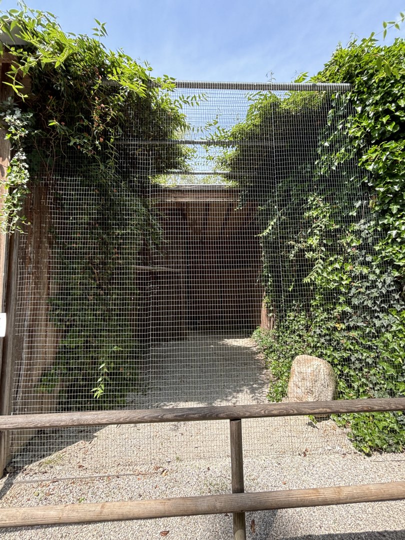 Steller’s sea eagle aviary at Wildpark Poing