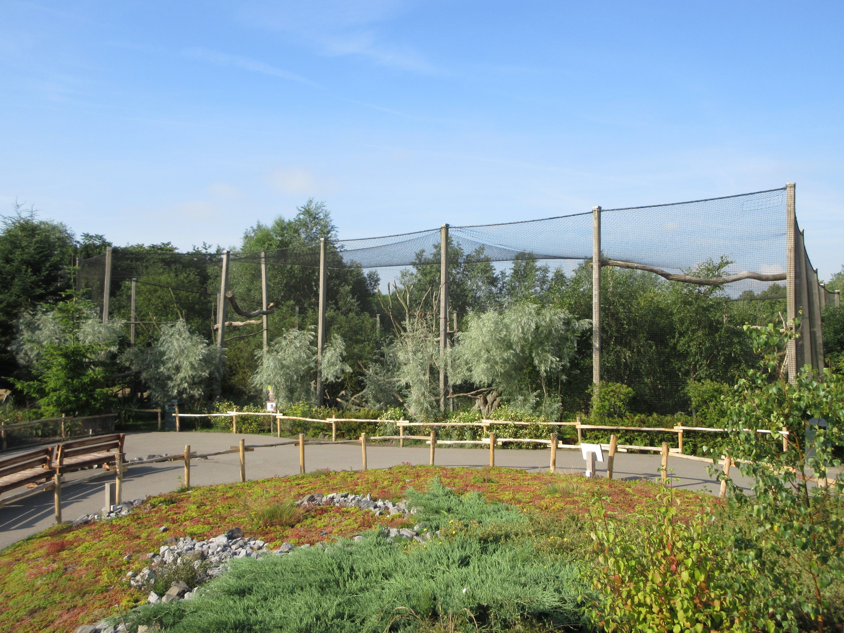 Steller's Sea Eagle Aviary (huge!)