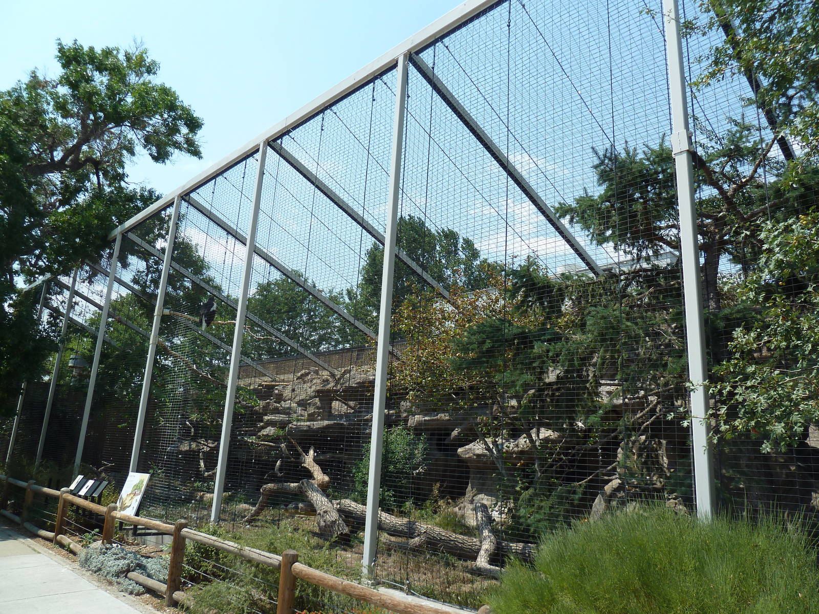 Steller's Sea Eagle Aviary