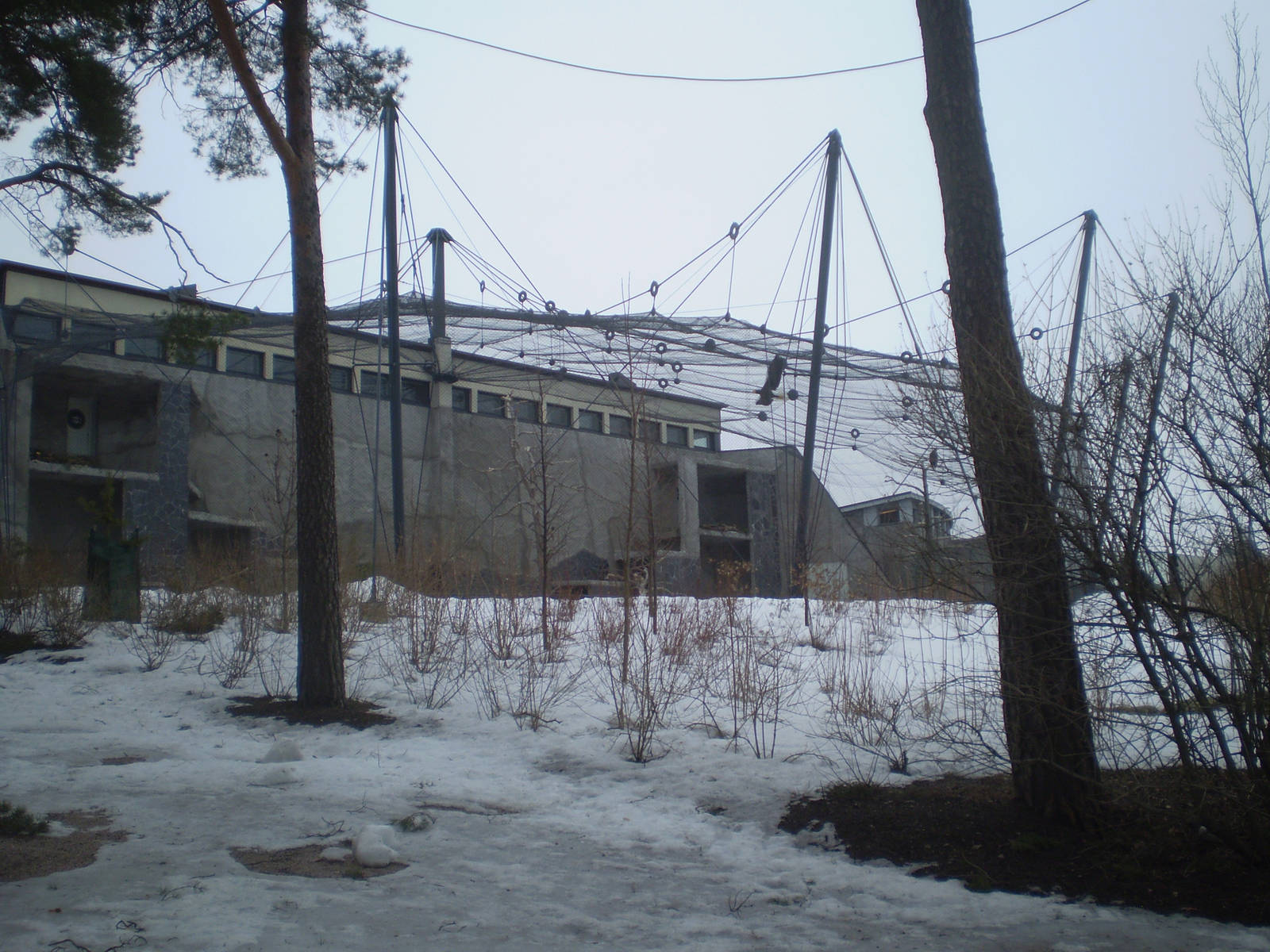 Steller's sea eagle aviary