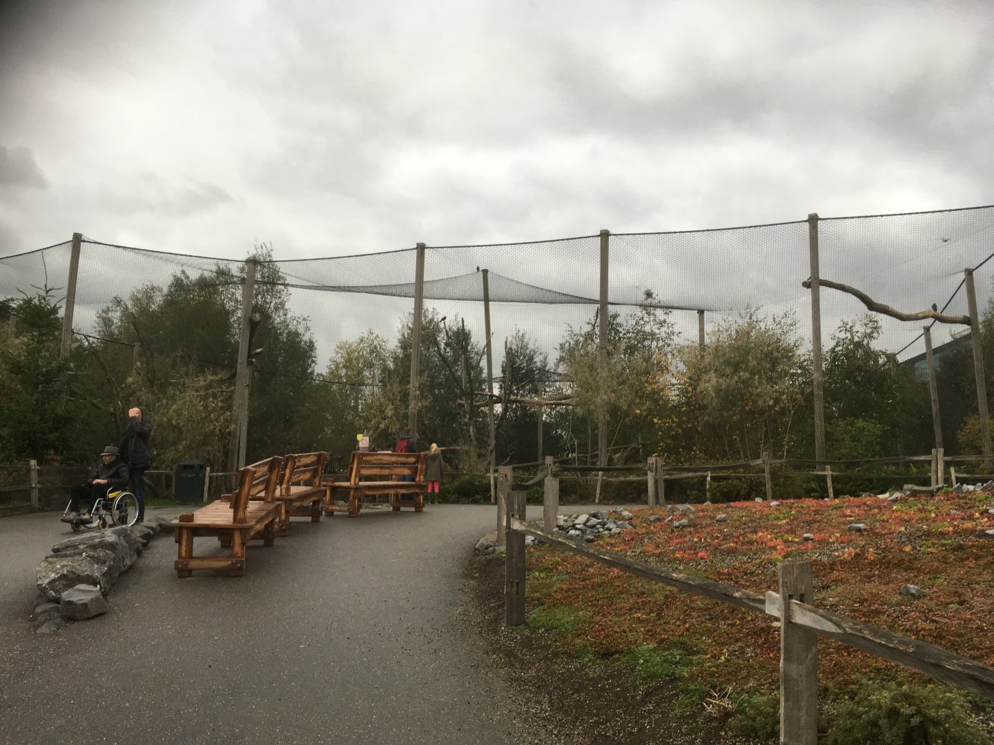 Steller’s sea eagle aviary