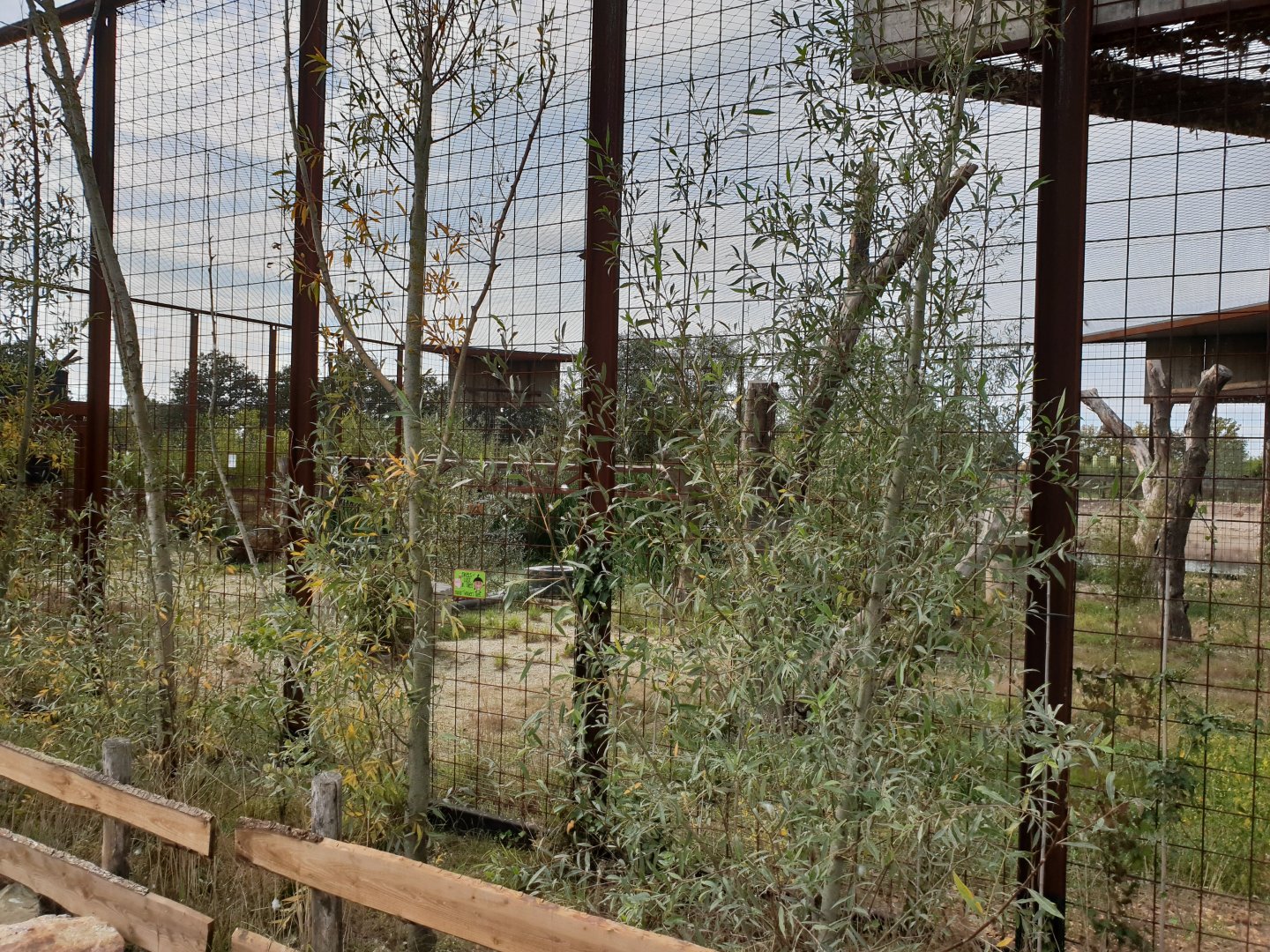 Steller's sea-eagle aviary