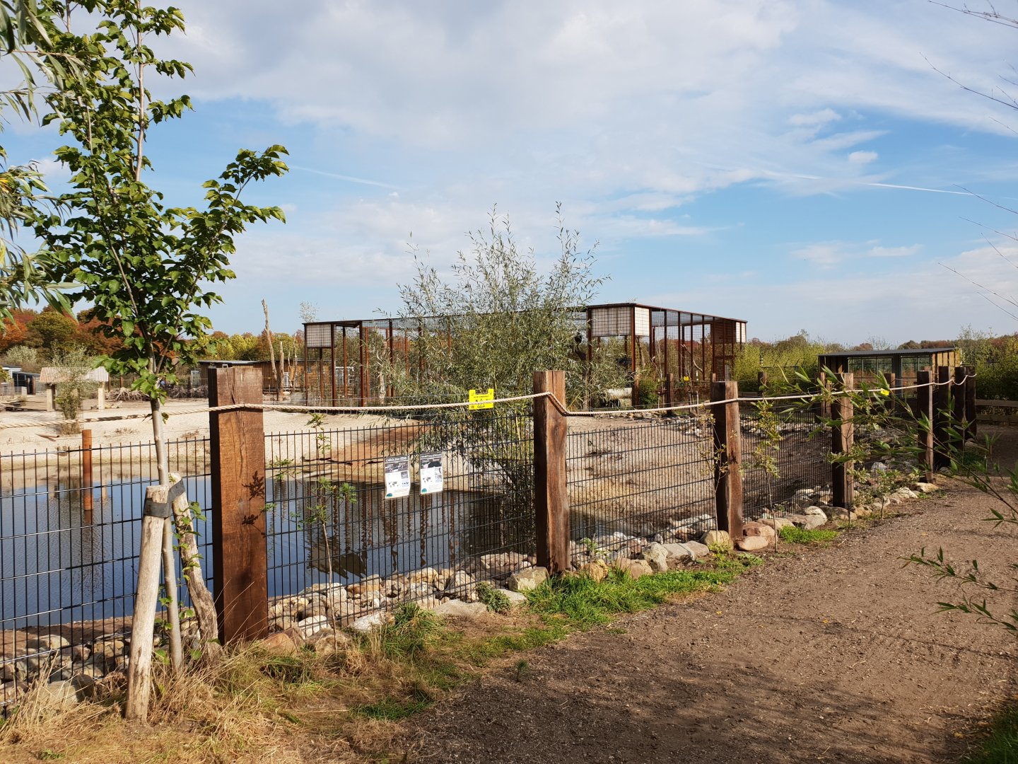 Steller's sea-eagle aviary