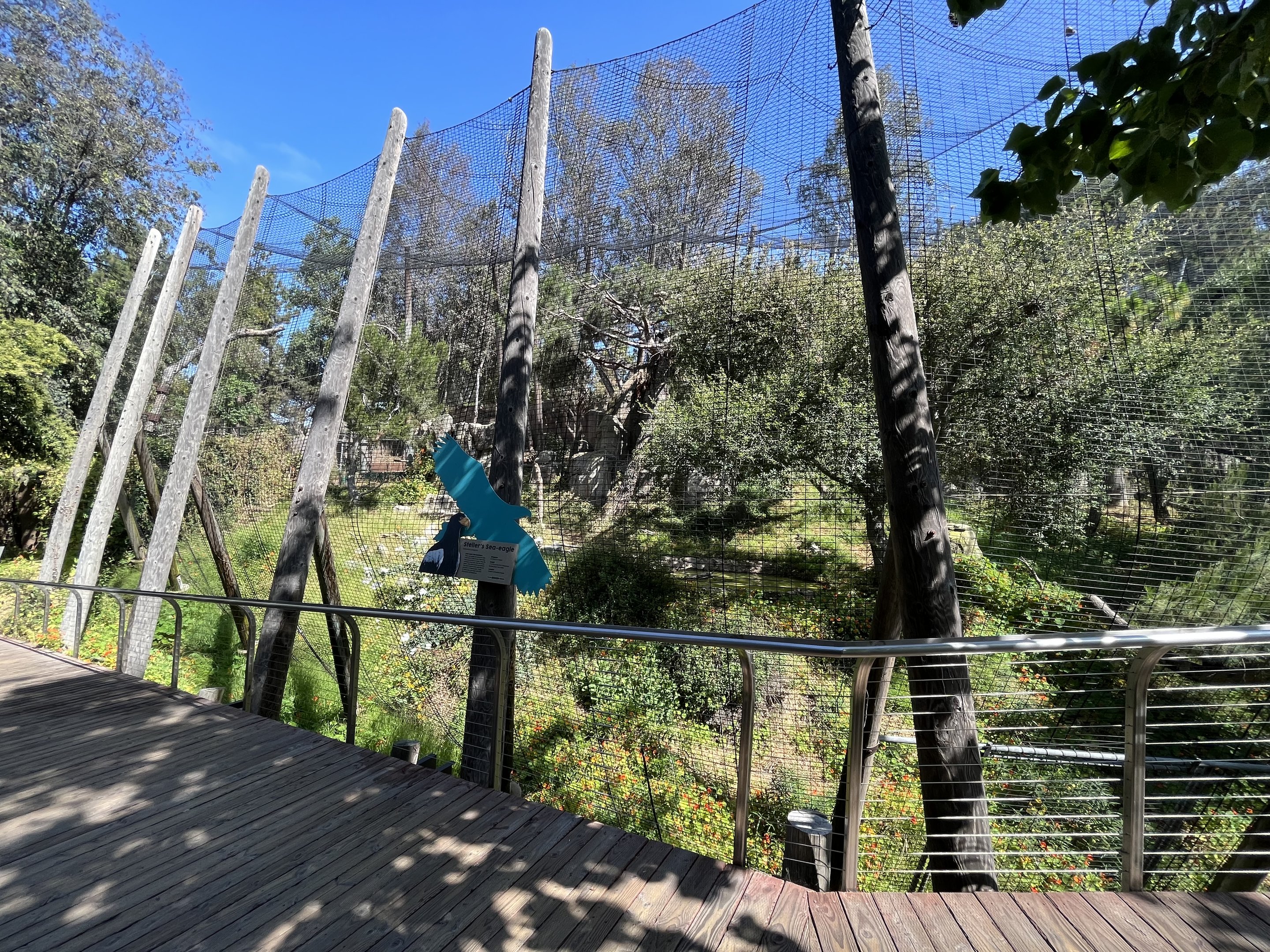 Steller’s Sea Eagle Aviary