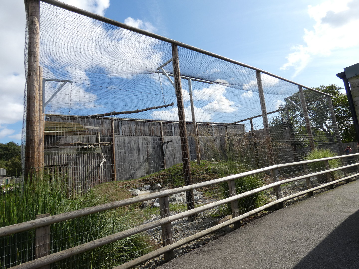 Steller's sea eagle aviary