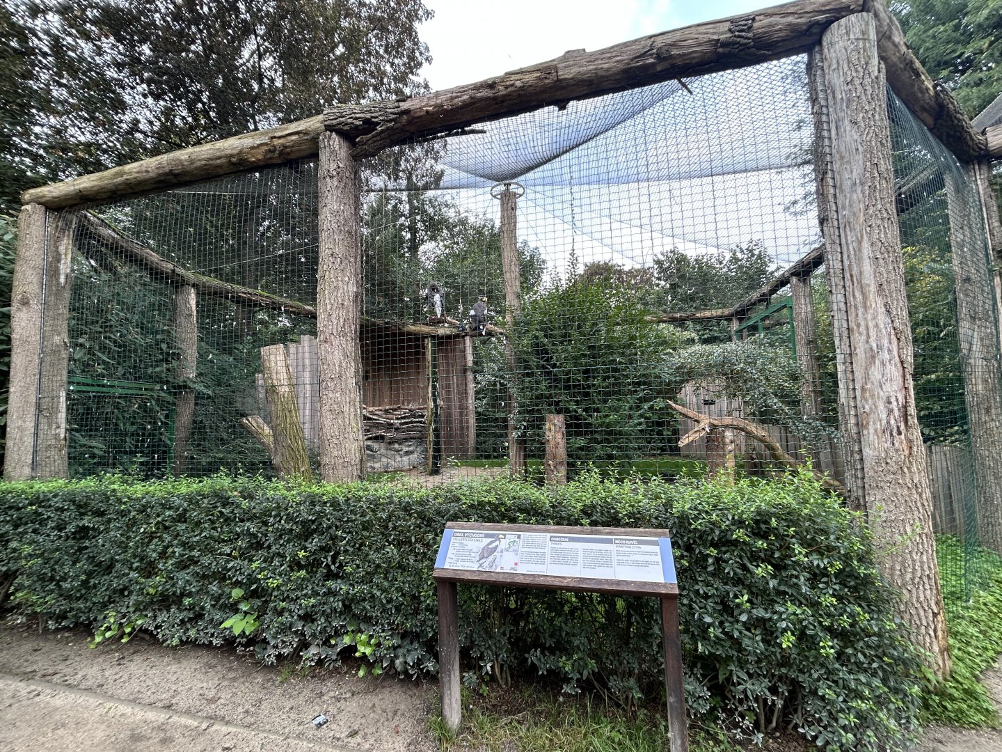 Steller’s Sea Eagle Aviary