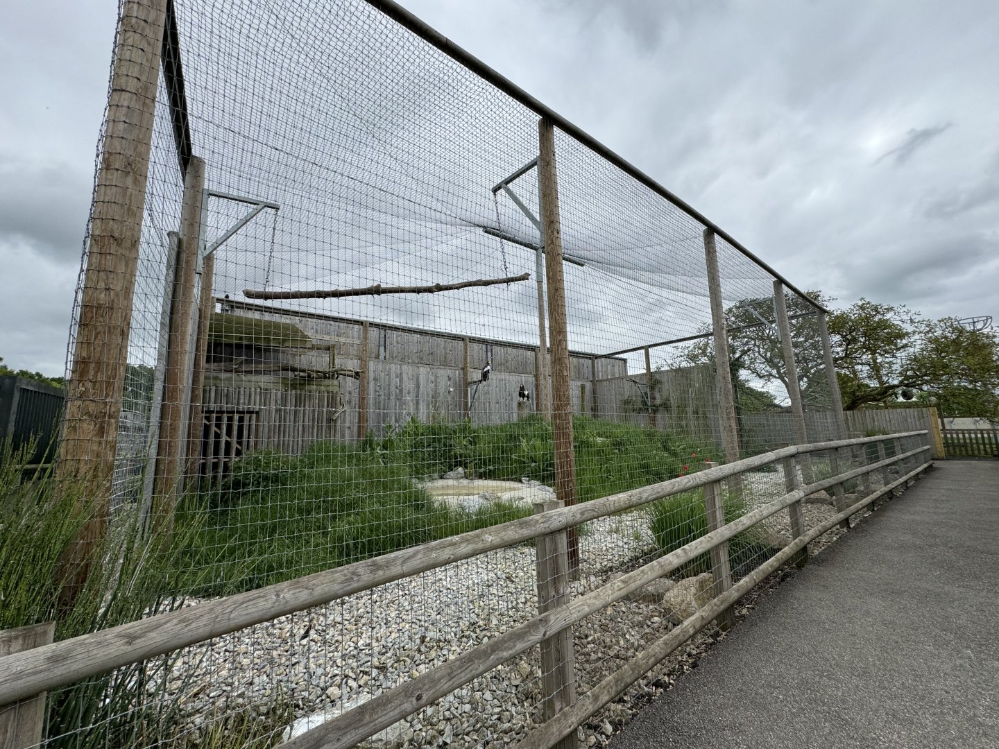 Steller's Sea Eagle Enclosure at Woodside Wildlife Park (May 2024)