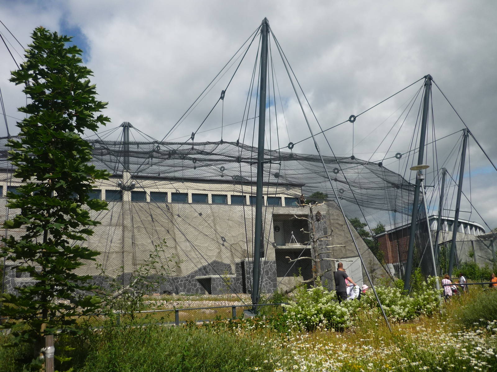 Steller's Sea Eagle Exhibit 1