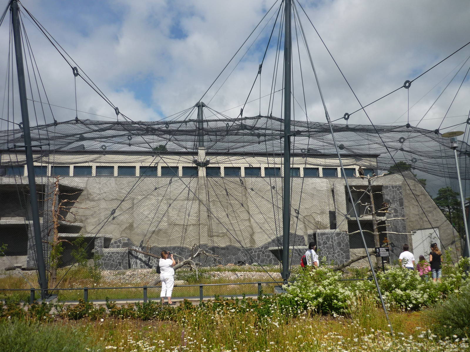 Steller's Sea Eagle Exhibit 3