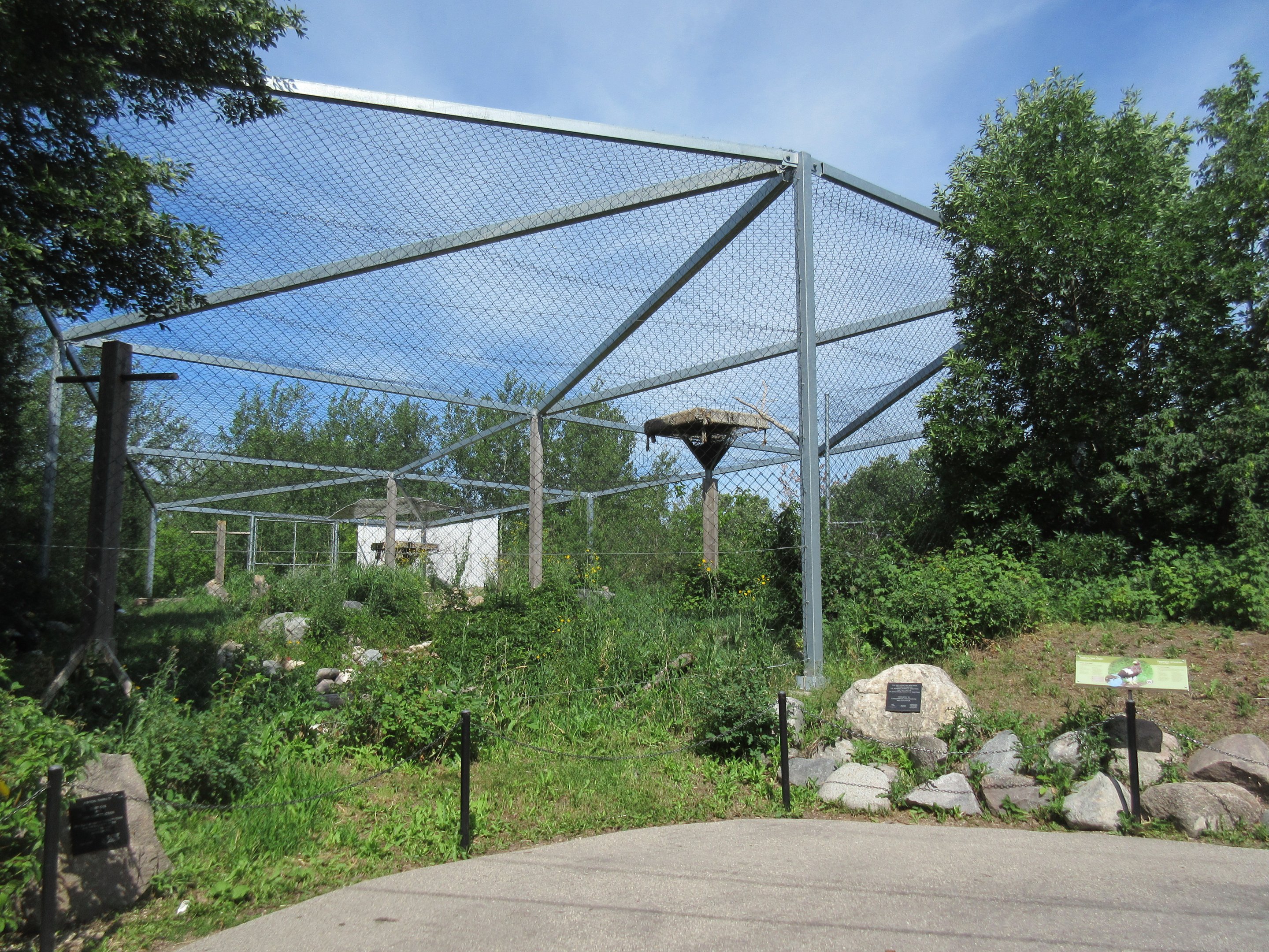 Steller's Sea Eagle Exhibit