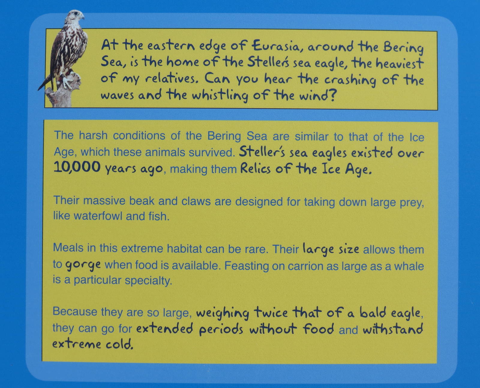 Steller's Sea Eagle signage