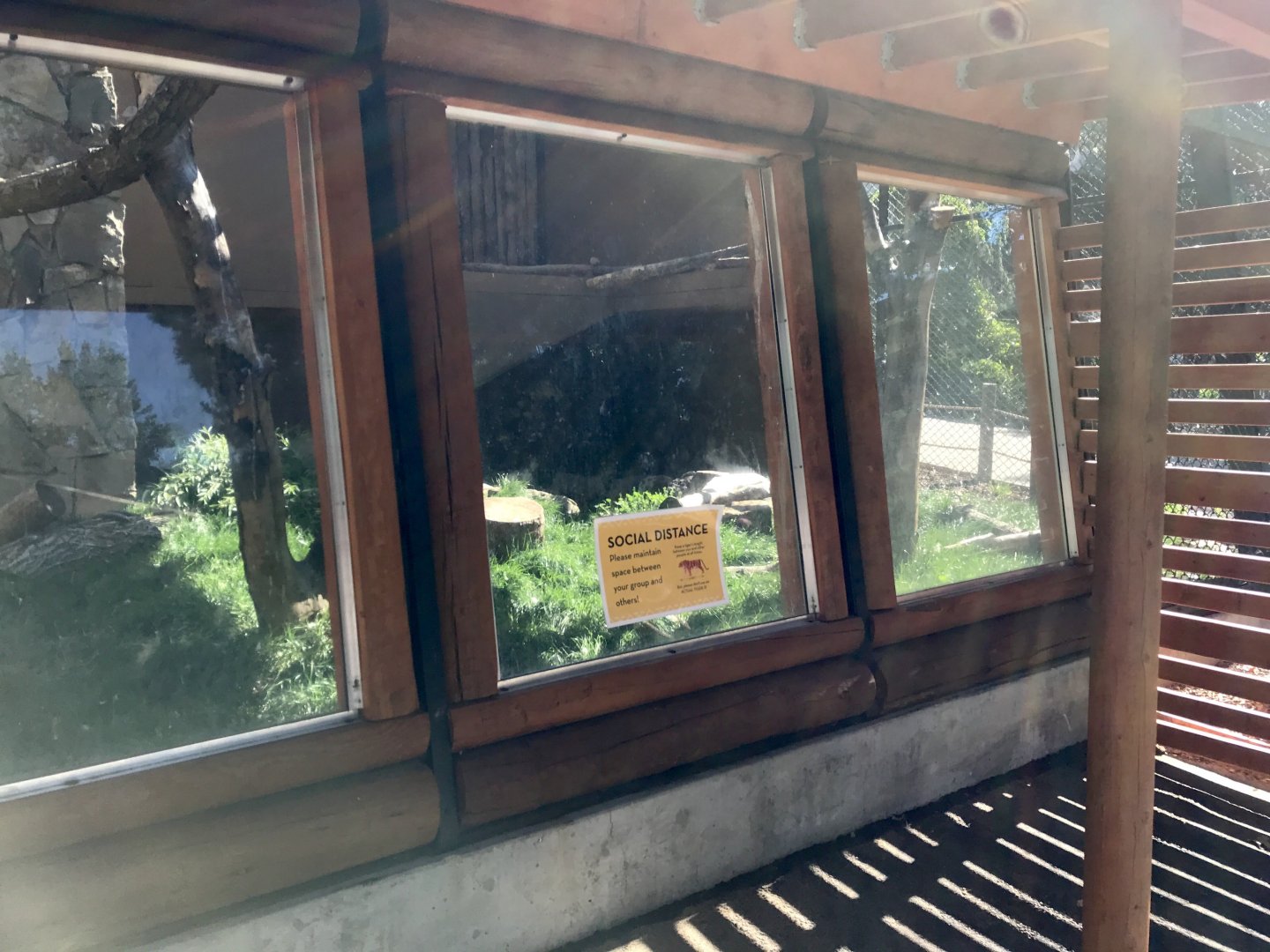 Steller's Sea Eagle Viewing