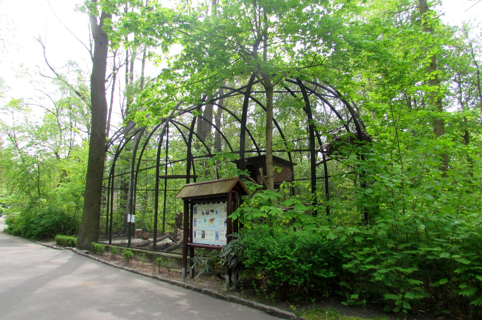 Steller's Sea Eagles aviary - 05/2015