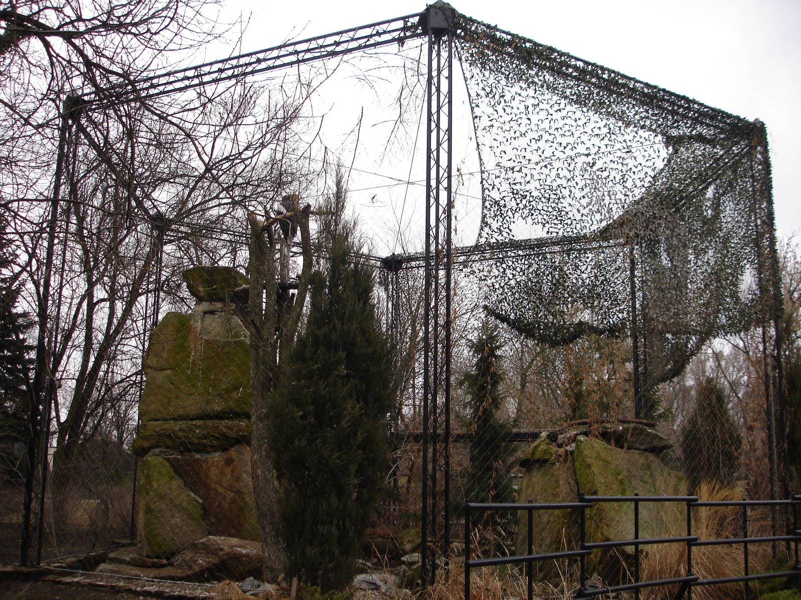 Steller's Sea Eagles aviary