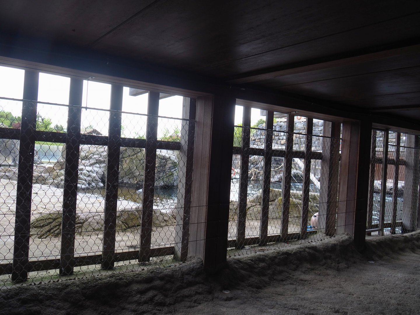 Steller's sea lion beach viewing area next to underwater viewing area, 2023-05-16