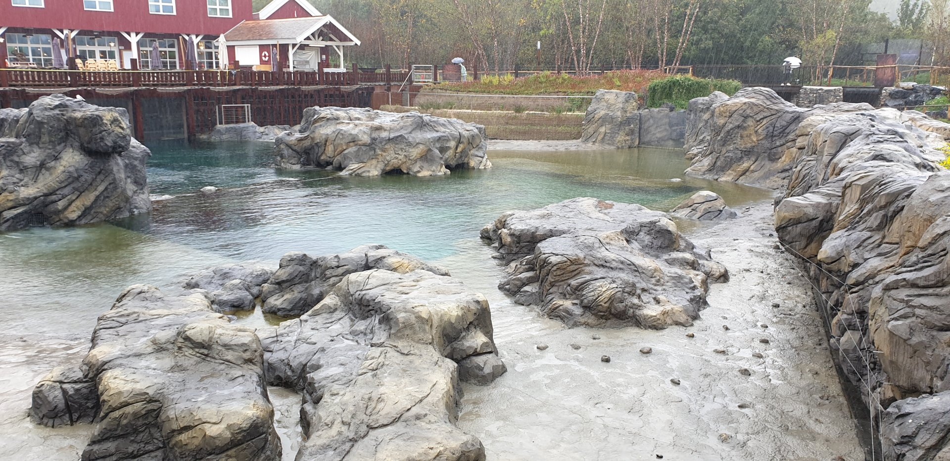 Steller's sea-lion enclosure