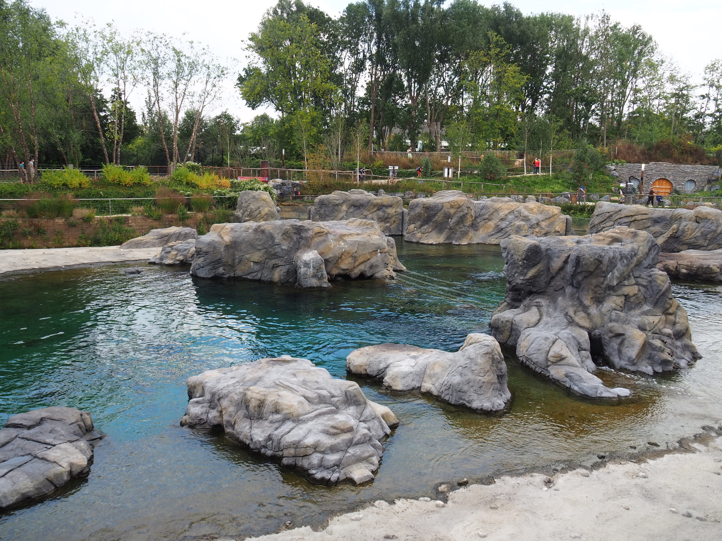 Steller's sea lion exhibit, 2020-09-02