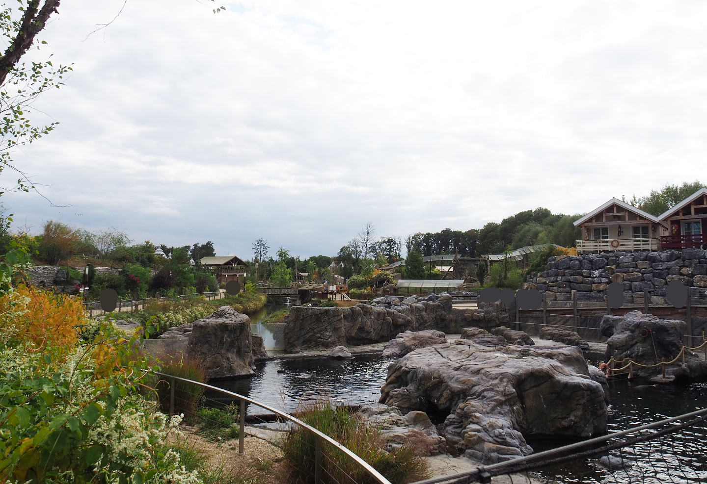 Steller's sea lion exhibit, 2022-09-15