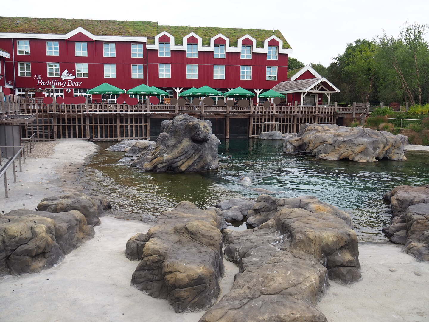 Steller's sea lion exhibit and The Paddling Bear hotel, 2020-09-02