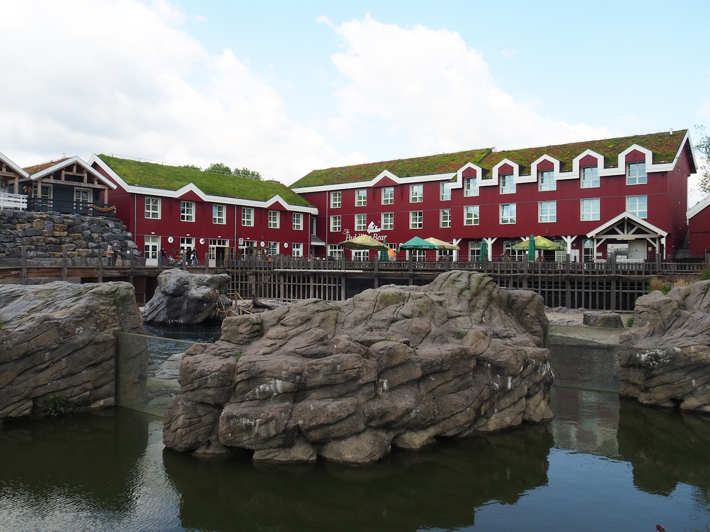 Steller's sea lion exhibit and The Paddling Bear Hotel, 2023-05-16