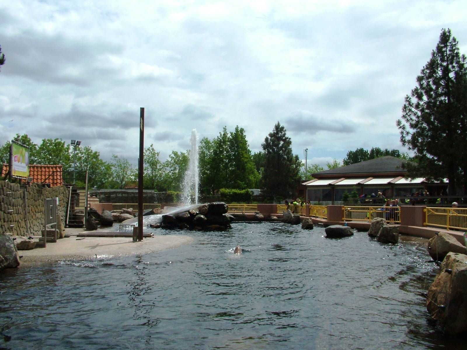 Steller's Sea Lion Exhibit at Harderwijk, 01/06/12