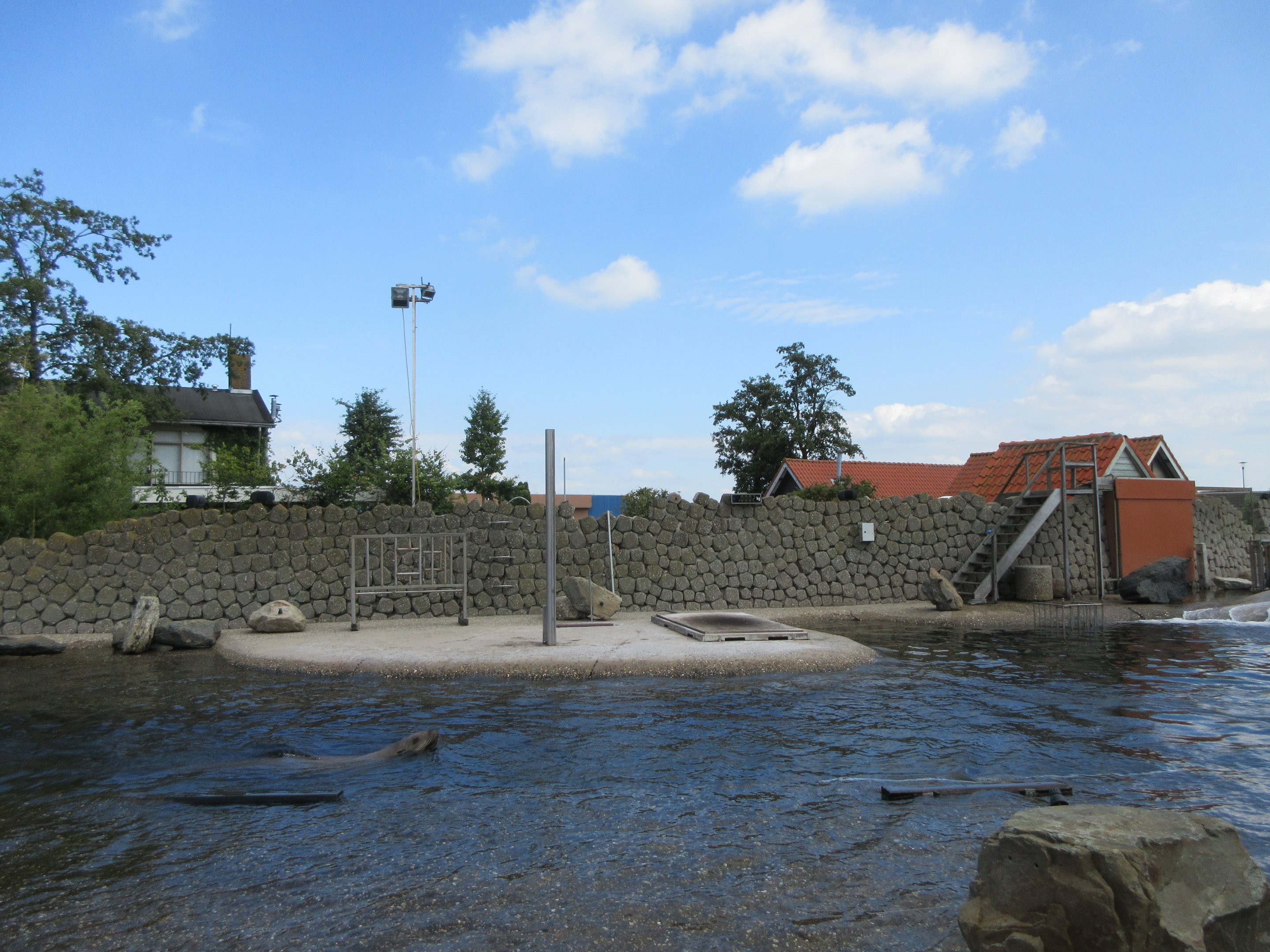 Steller's Sea Lion Exhibit