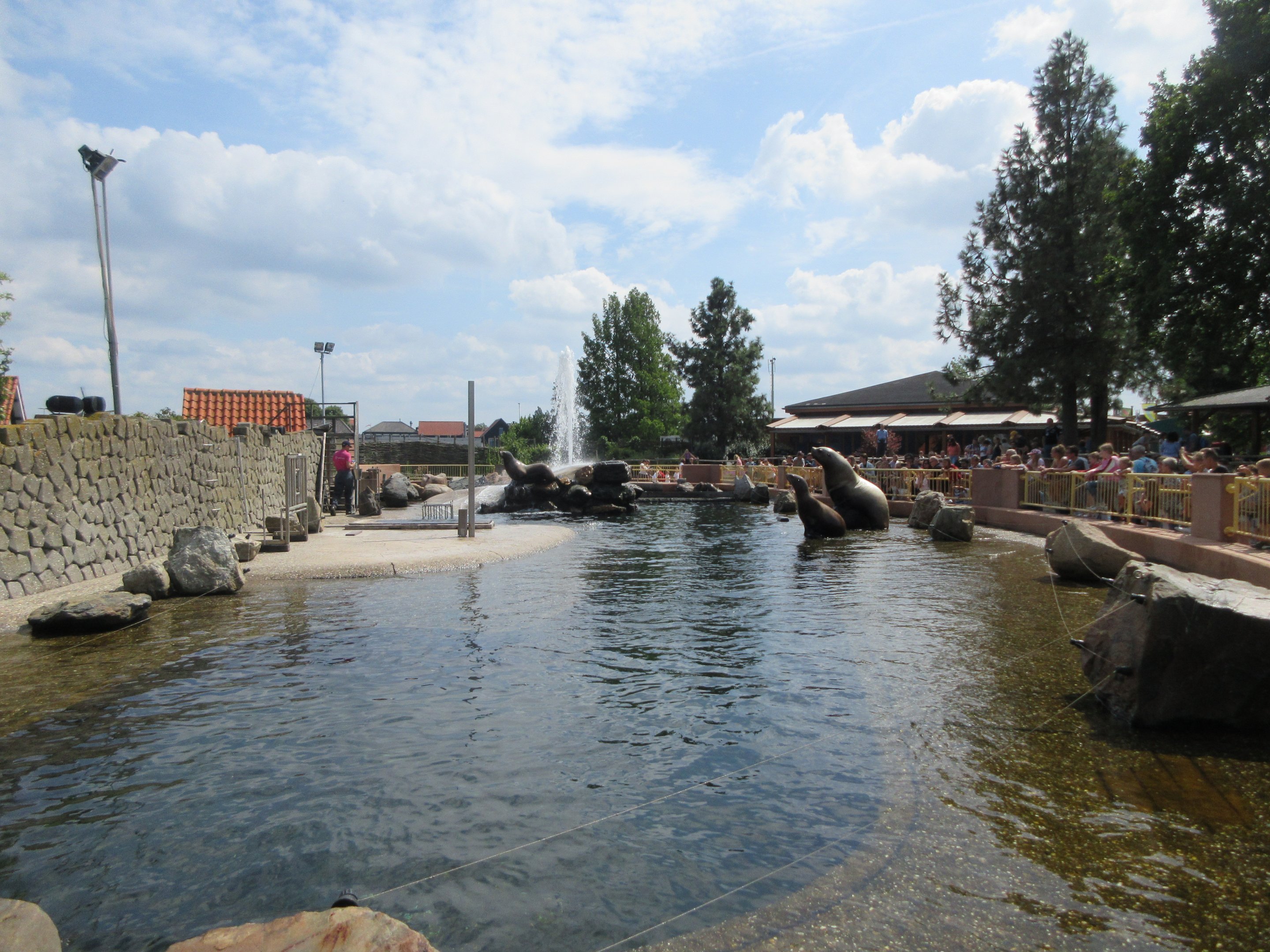 Steller's Sea Lion Exhibit