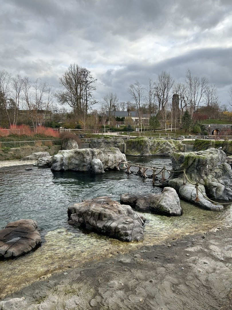 Steller’s sea lion exhibit