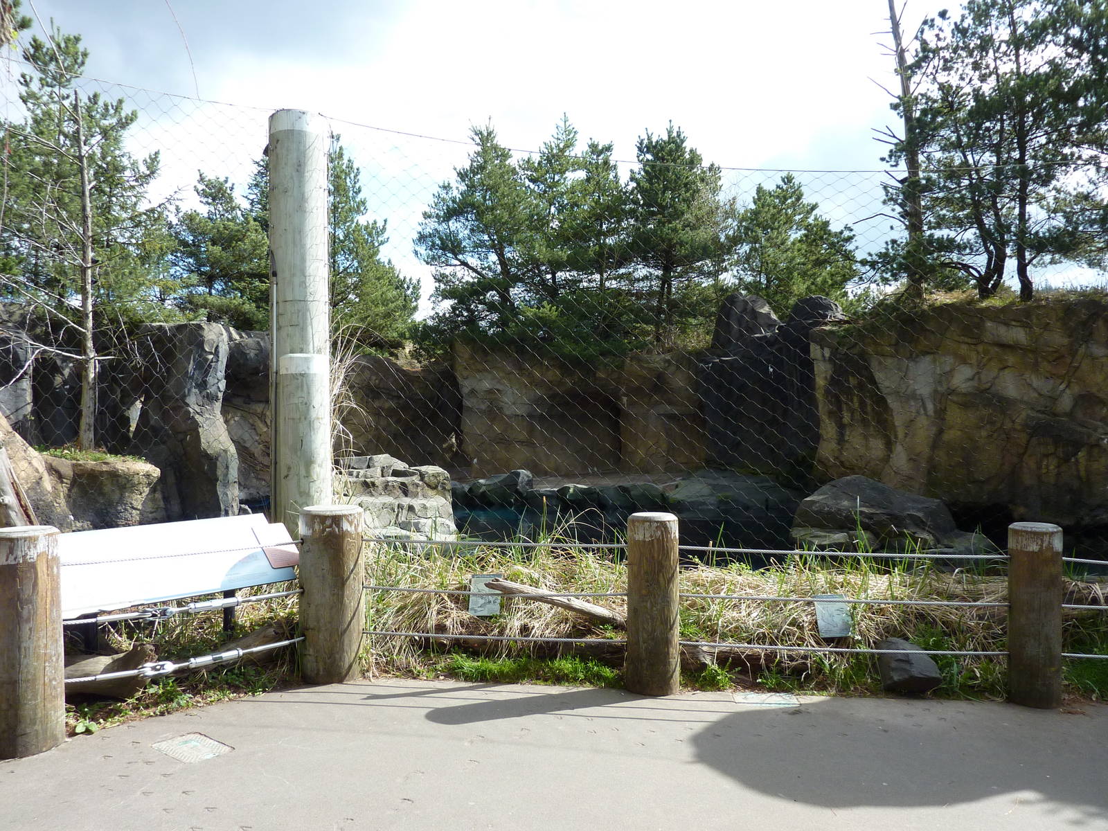 Steller's Sea Lion Exhibit