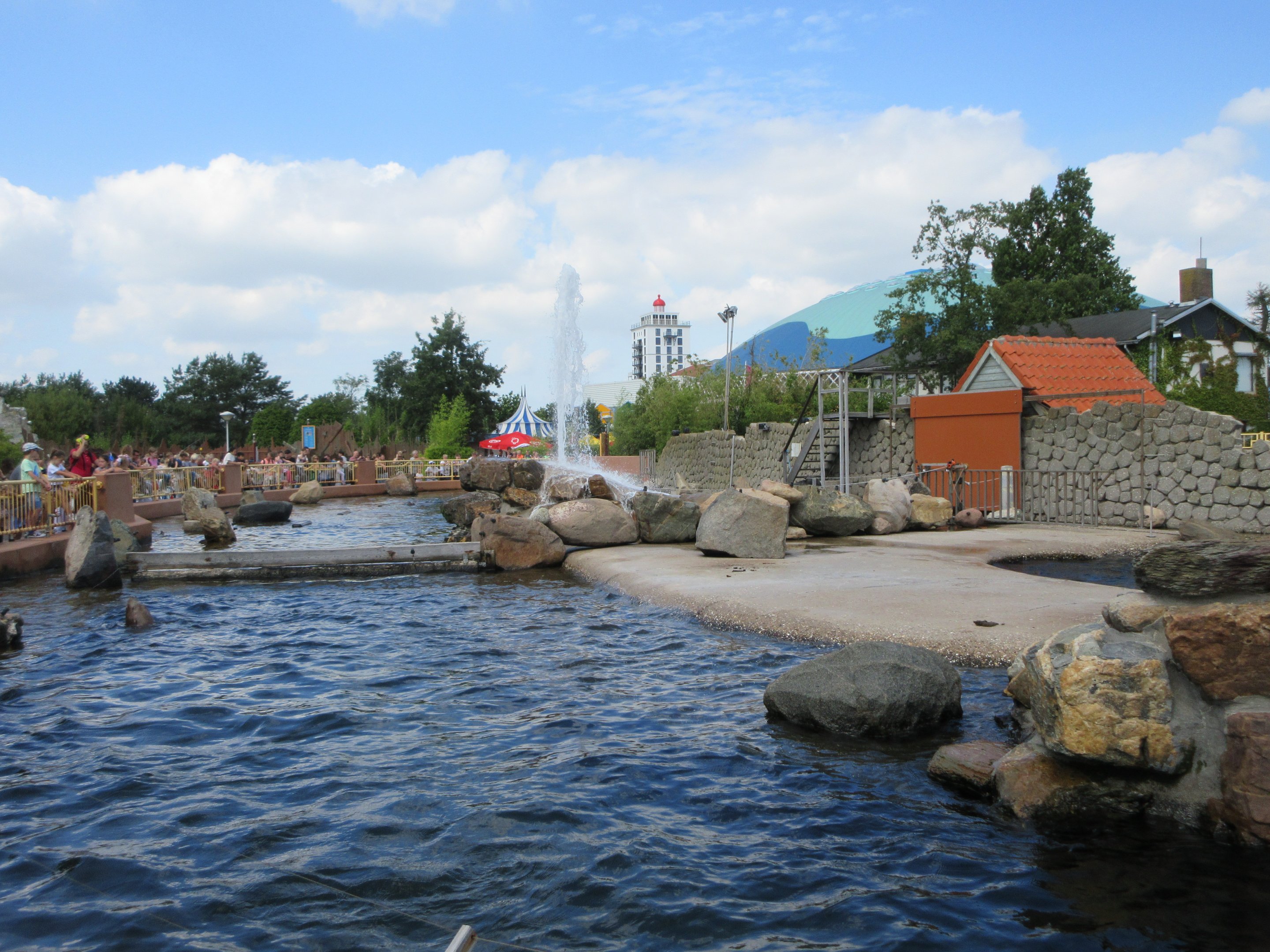 Steller's Sea Lion Exhibits (two of them)
