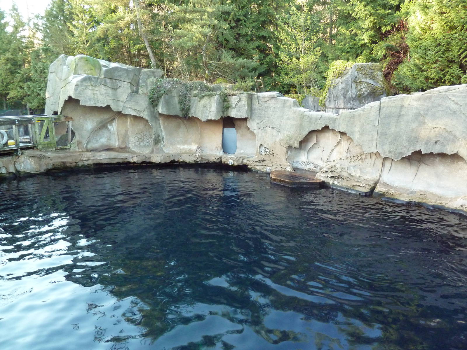 Steller's Sea Lion/Harbour Seal Exhibit