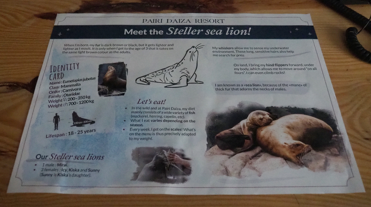 Steller's sea lion information sheet in the room in The Paddling Bear Hotel, 2022-09-14