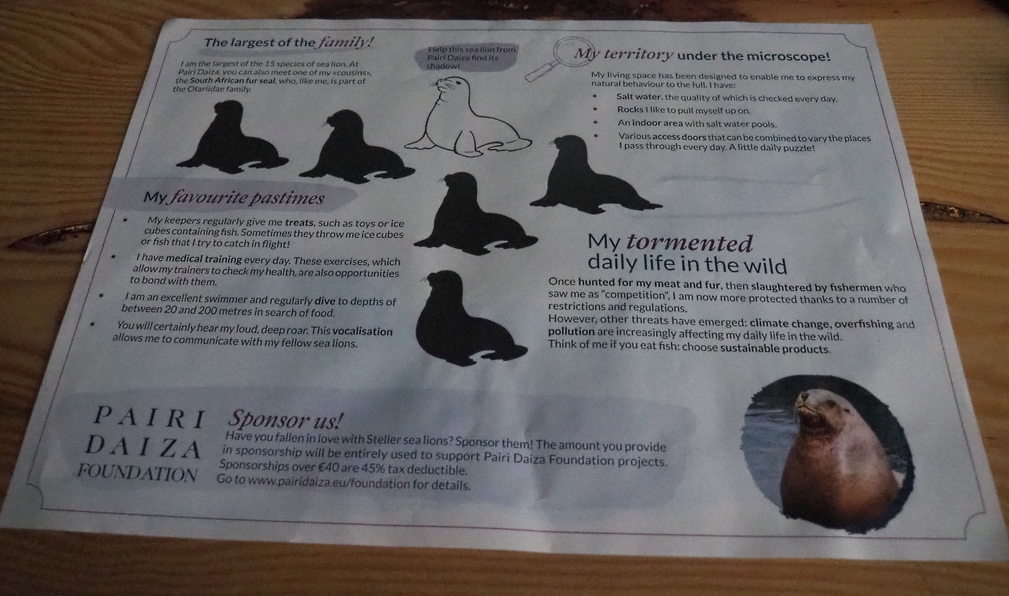 Steller's sea lion information sheet in the room in The Paddling Bear Hotel, 2022-09-14