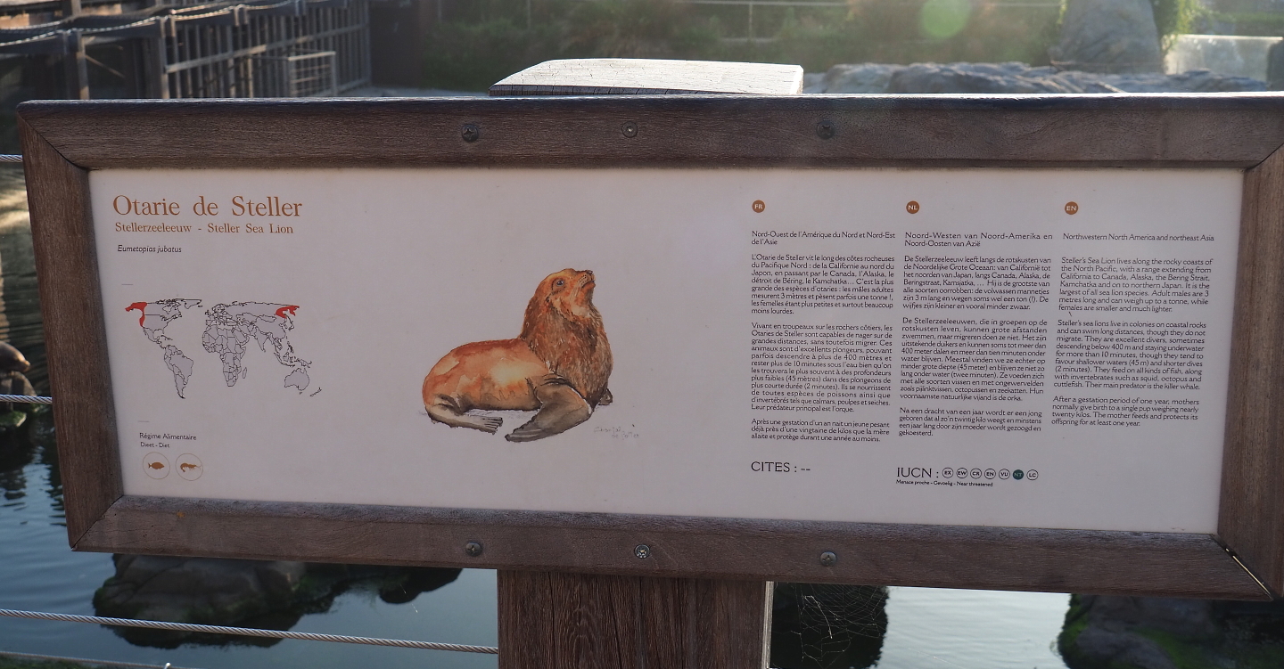Steller's sea lion signage, 2021-09-03