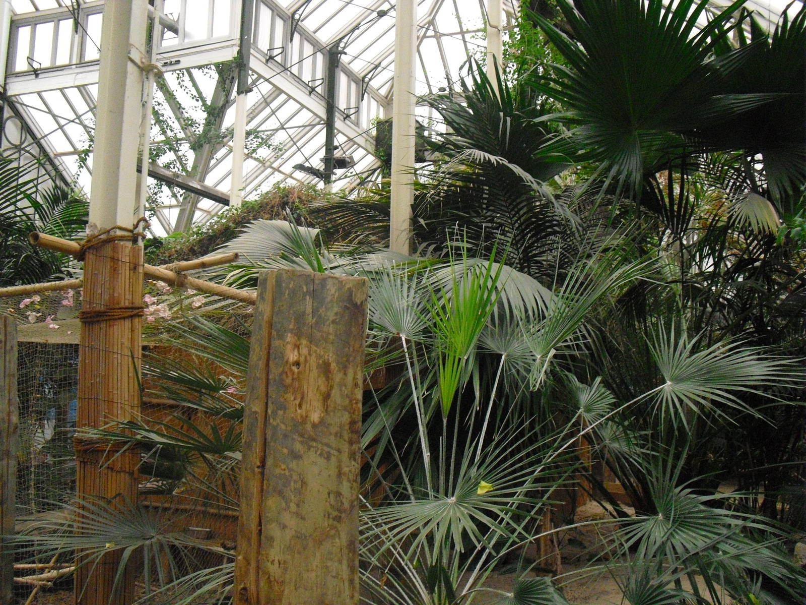 Step Ashore - 12/10/2011