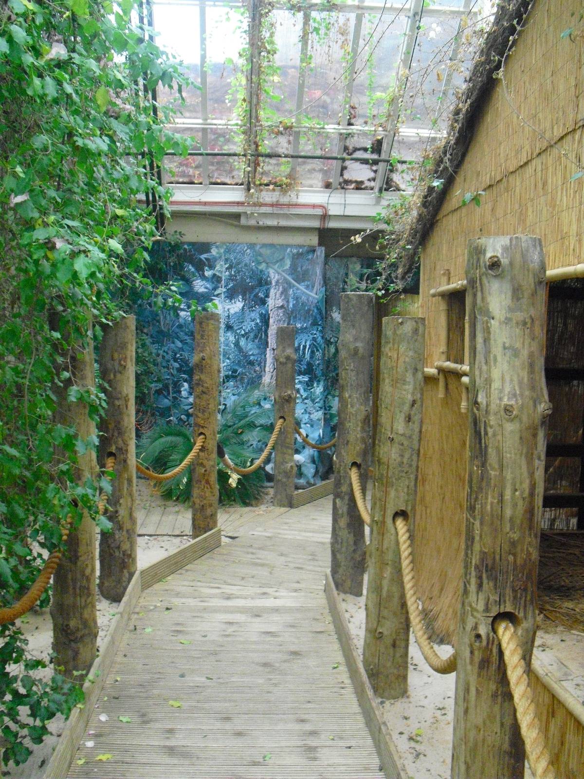 Step Ashore  -12/10/2011