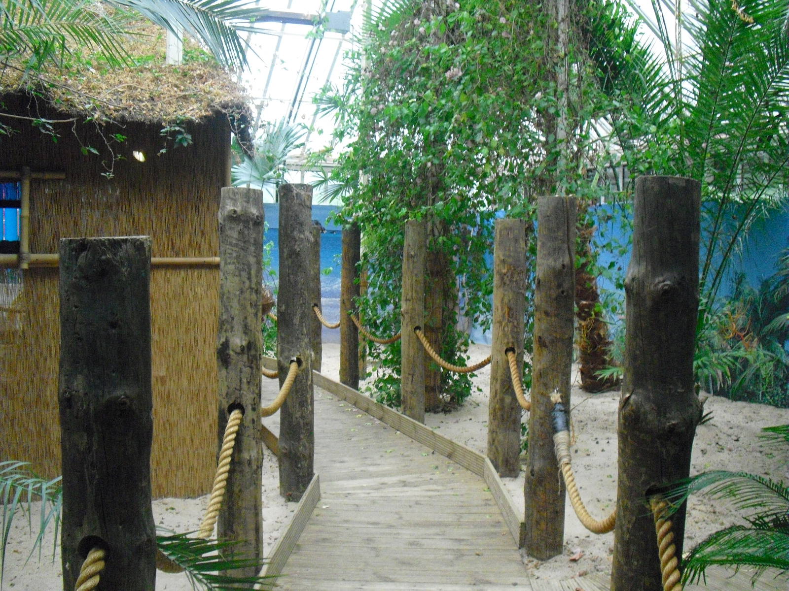 Step Ashore - 12/10/2011