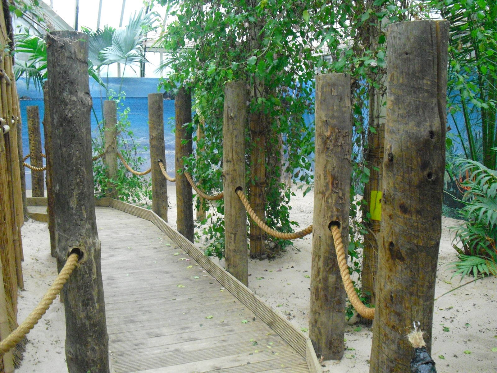 Step Ashore - 12/10/2011