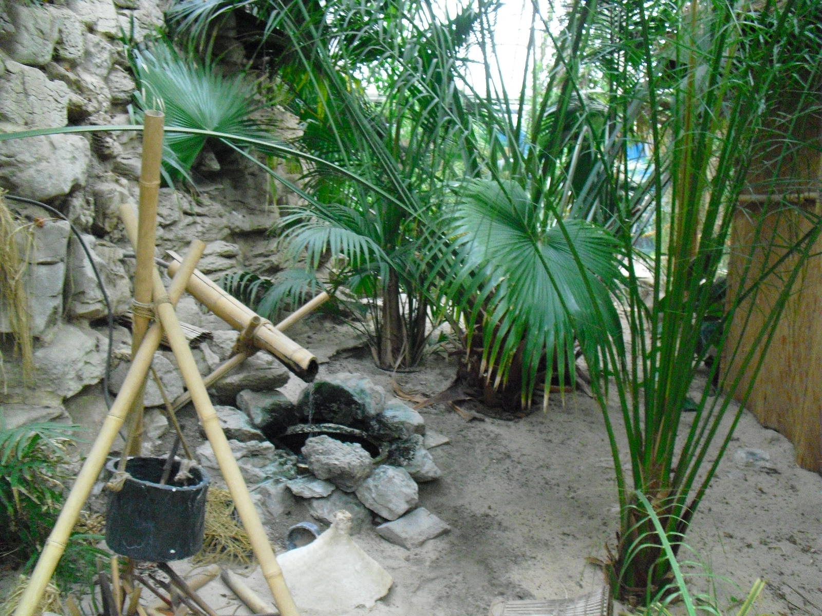 Step Ashore - 27/10/2011